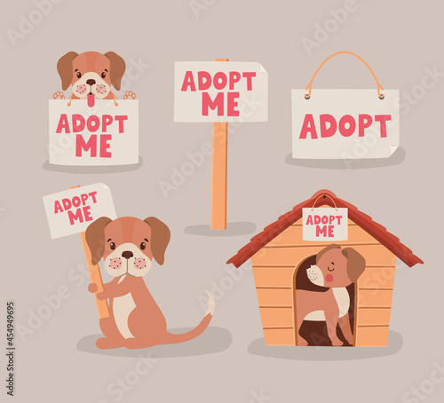 item to adopt puppies