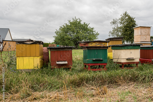 Private beekeeping farm in Poland.