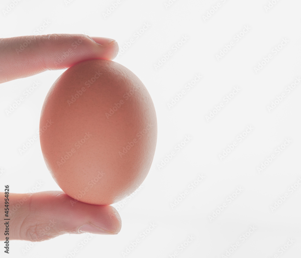 chicken egg isolated on white background chicken egg isolated on white background