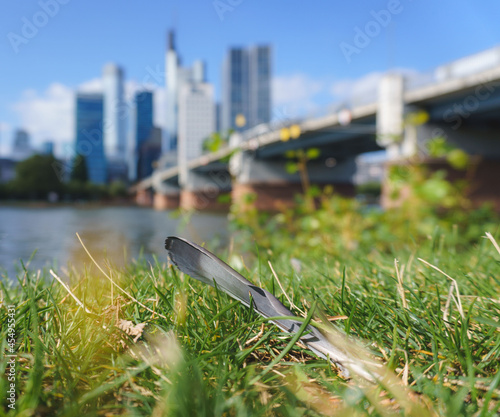 Feder am Mainufer vor Frankfurter Skyline photo