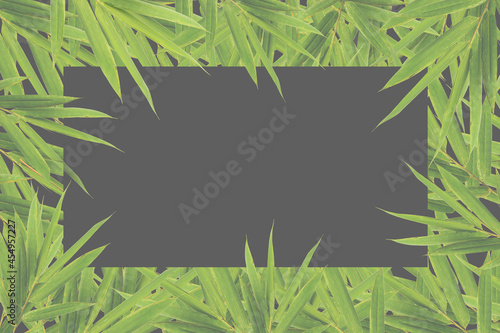 Bamboo background frame