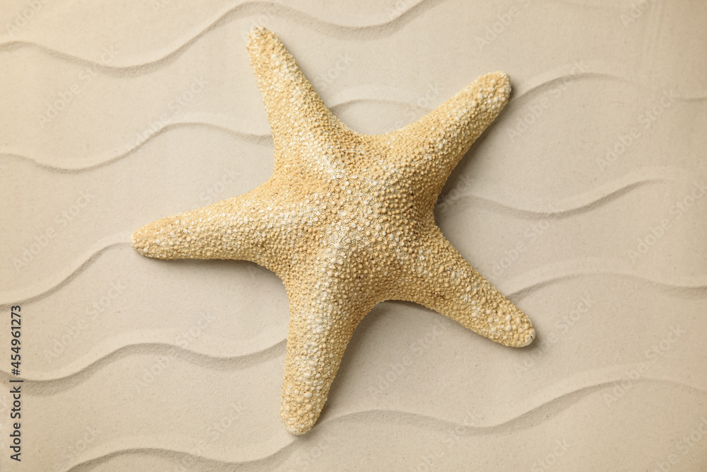 Beautiful sea star on sand, top view Beautiful sea star on sand, top view
