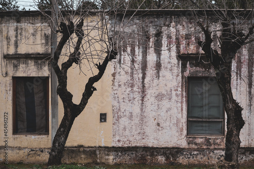 old house in the woods