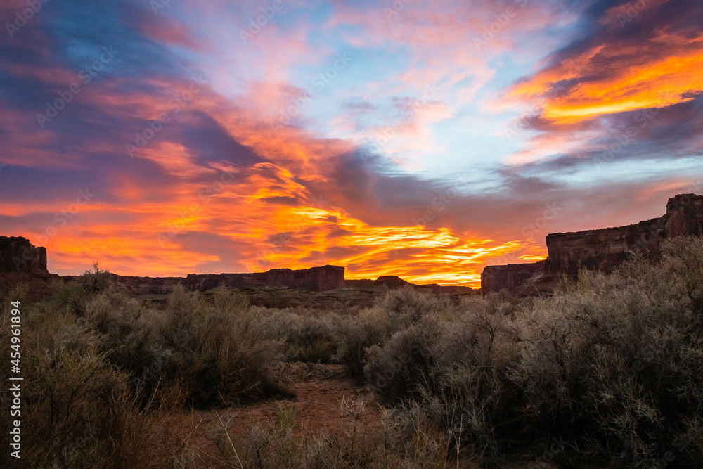 Fototapeta premium The brilliant colors of a sunrise reflecting on clouds over the top of a canyon wall with desert vegetation in the foreground in Utah.