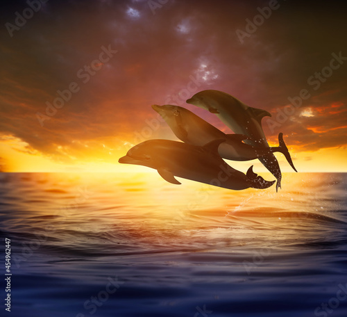 Beautiful bottlenose dolphins jumping out of sea at sunset