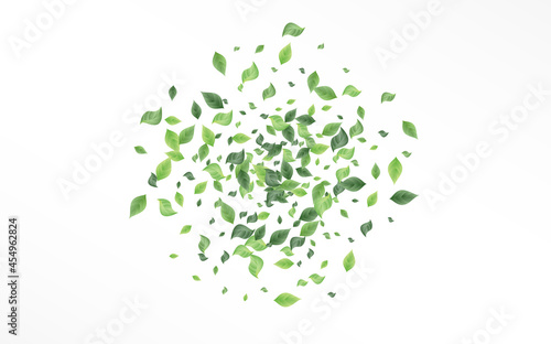 Forest Foliage Forest Vector White Background