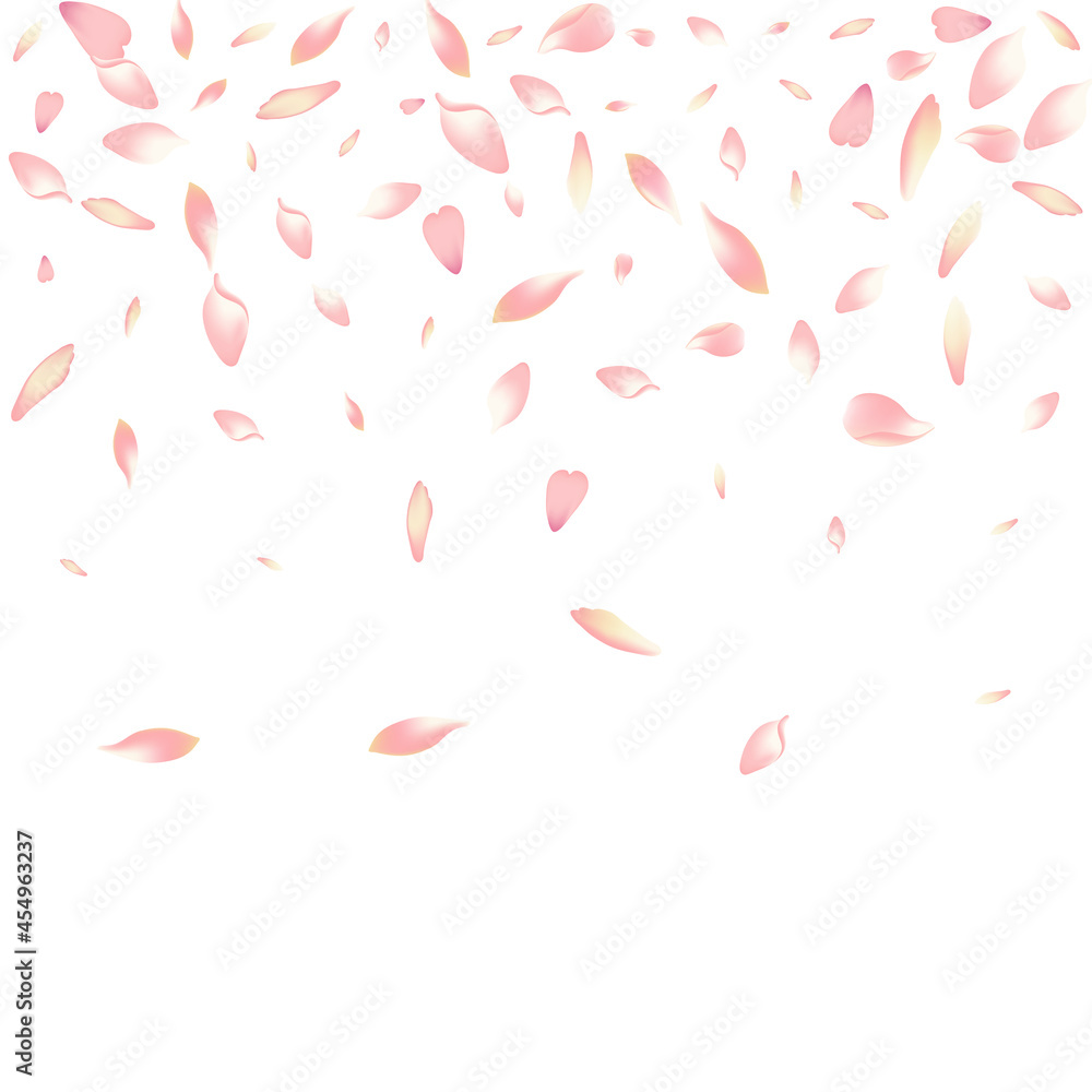 White Sakura Petal Vector White Background. White Sakura Petal Vector White Background.