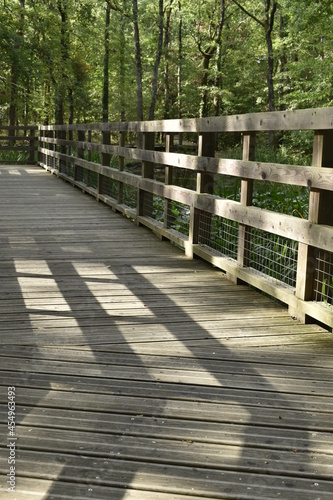 Petit pont en bois en forêt et jeux d'ombres et de lumières, à la forêt de Buzet © Lauan