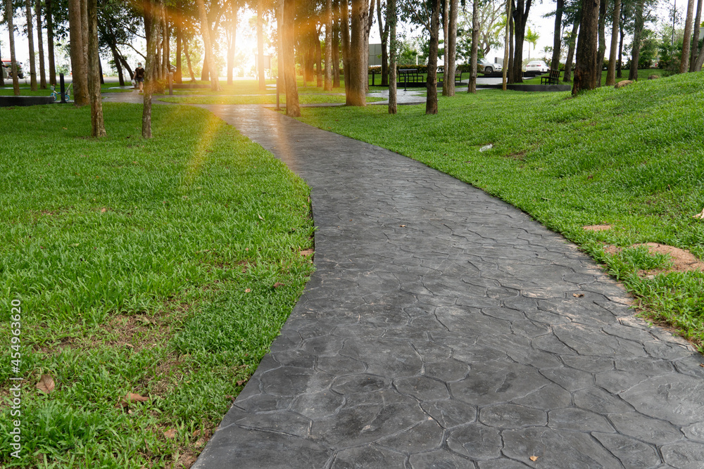 Concrete walkways are decorated with gray stone patterns on the lawns of the park. Tall trees in the background with sunlight shining on them. Ang Kep Nam Dok Krai Rayong Thailand.