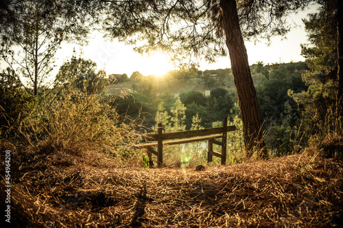 Bank in the park at a lake during sunset