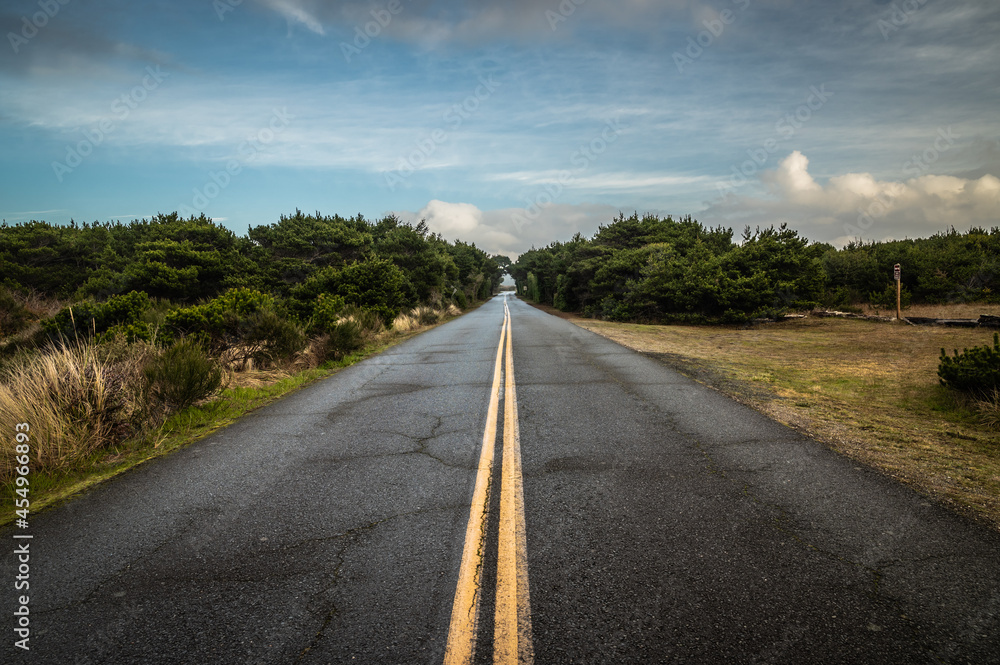 Naklejka premium Pretty road with wet asphalt. Green trees and blue sky