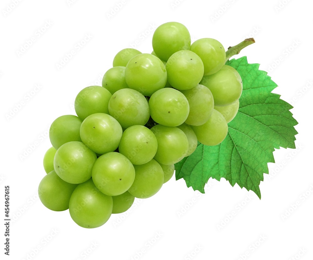 シャインマスカット マスカット 葡萄 イラスト リアル 葉 Stock Illustration Adobe Stock