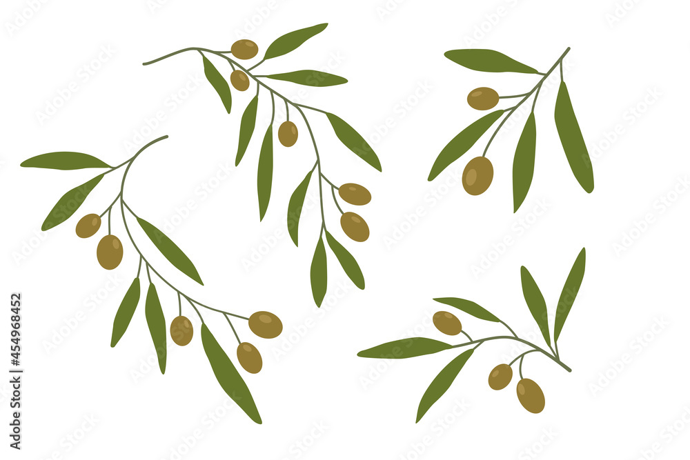 Olive branches set first. Olives, tree branches. Green leaves. Vector illustration. Twigs for decorating postcards, decorative element.