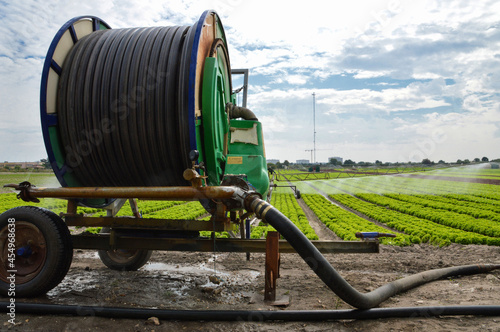 Watering a salad field with a agricultural irrigation system with a big hose reel.