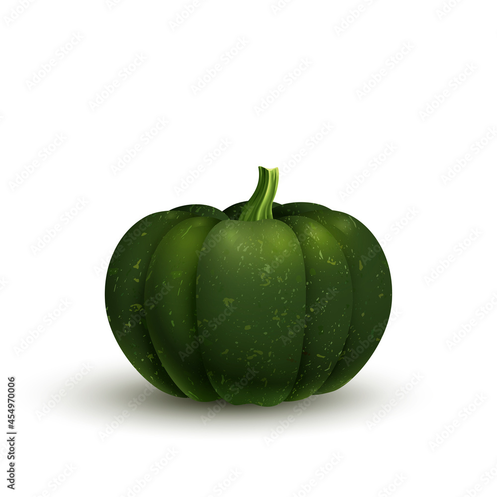 Dark green pumpkin for the halloween holiday or thanksgiving day Dark green pumpkin for the halloween holiday or thanksgiving day