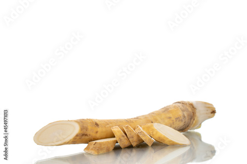 Obraz na płótnie One whole spicy horseradish root and slices, close-up, isolated on white