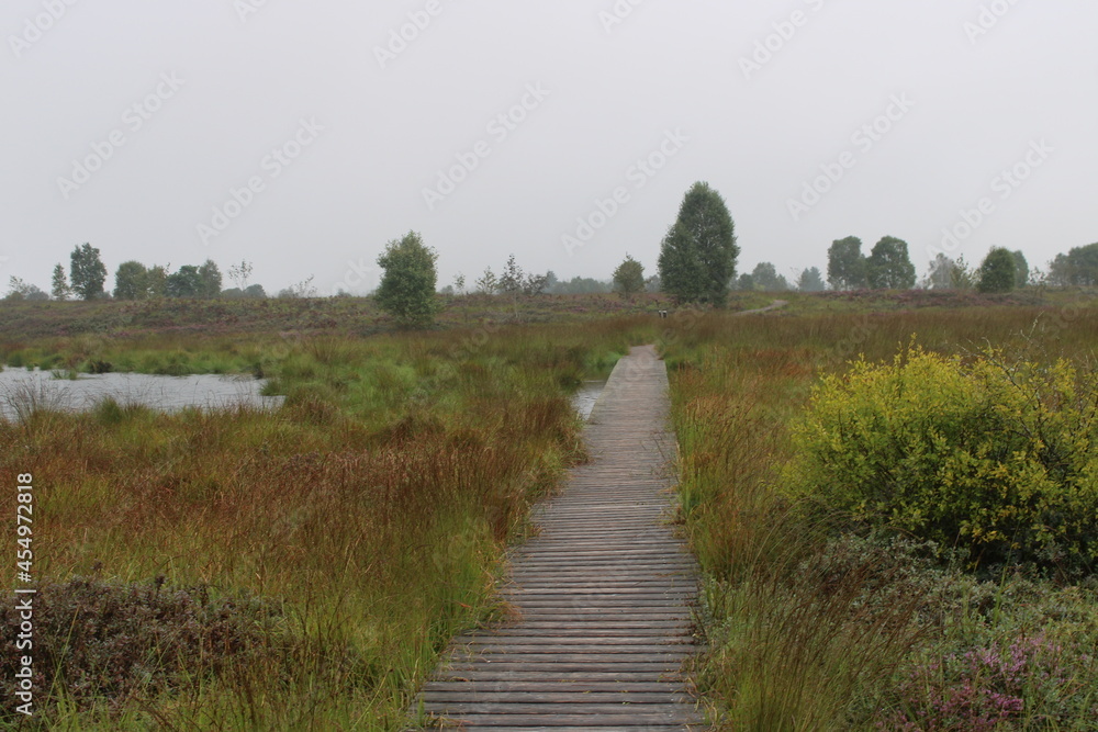 Steg Durchs Moor Stock Photo Adobe Stock steg-durchs-moor-stock-photo-adobe-stock