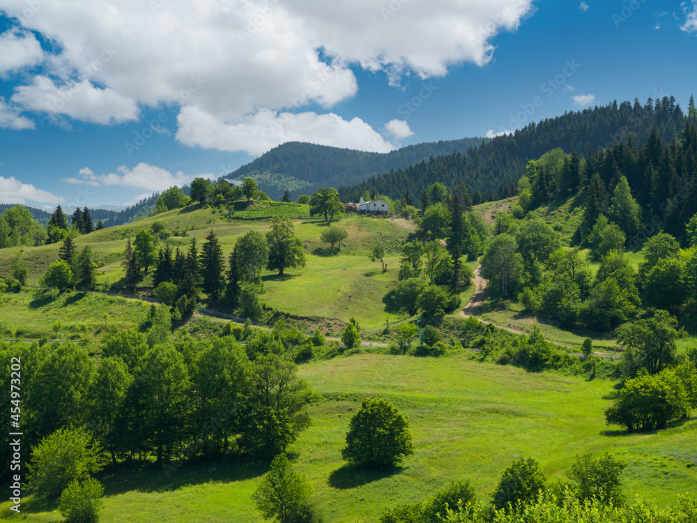 Beautiful forest village view. Beautiful forest village view.