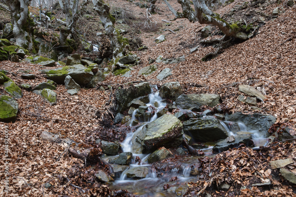 small stream between the rocks in the forest