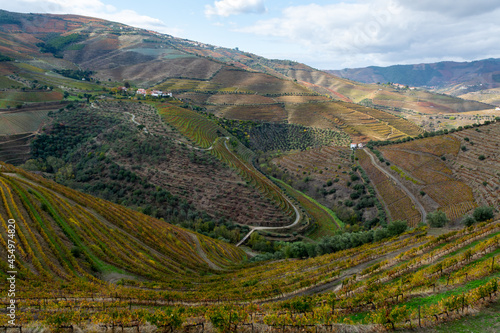 Panoramic view on Douro river valley and colorful hilly stair step terraced vineyards in autumn, wine making industry in Portugal © barmalini