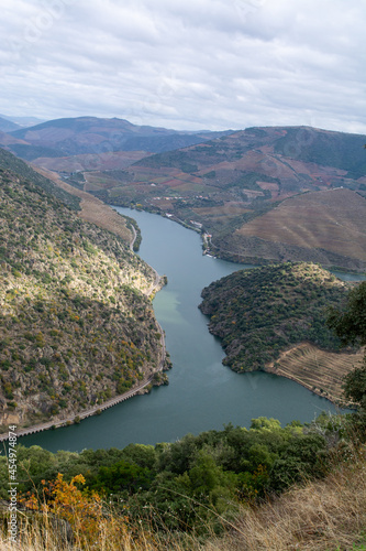 Panoramic view on Douro river valley and colorful hilly stair step terraced vineyards in autumn, wine making industry in Portugal