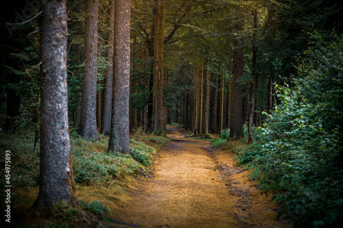 Hadriwa-Höhenweg Bayerischer Wald - Niederbayern