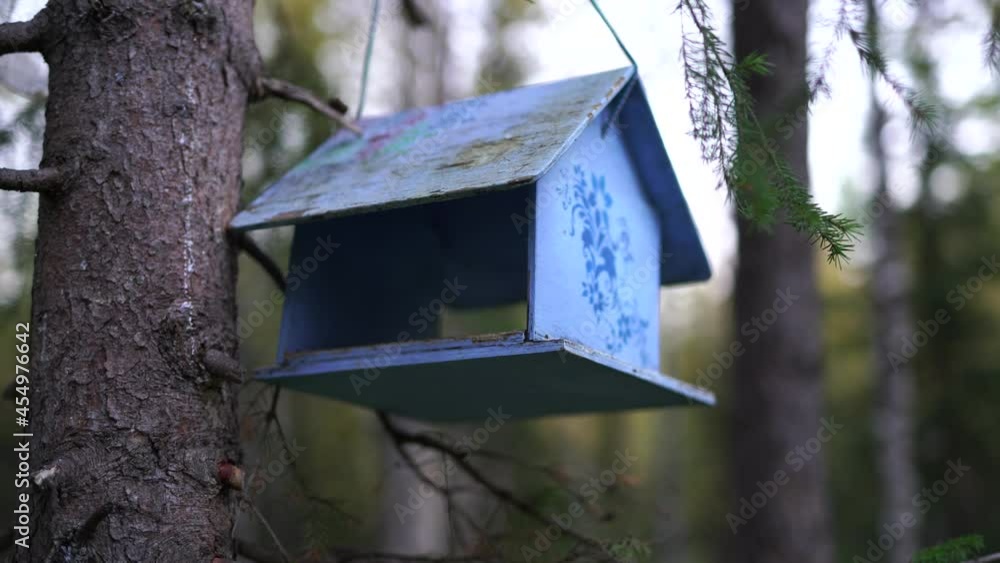 Birdhouse for birds forest tundra wildlife Birdhouse for birds forest tundra wildlife
