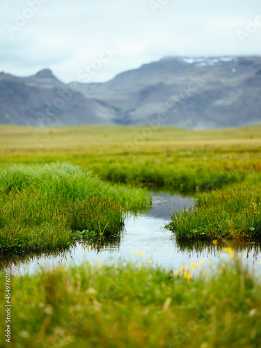 Grassy stream landscape leading to mountains in iceland