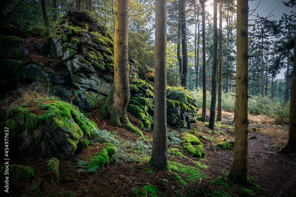 Hadriwa-Höhenweg Bayerischer Wald - Niederbayern