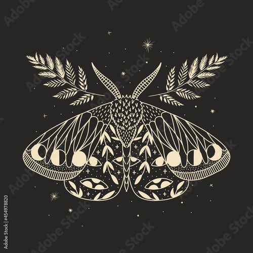 mystical illustration of a butterfly or moth. mysterious night in a secret garden. magic aesthetics, wildlife, retro vintage engraving style