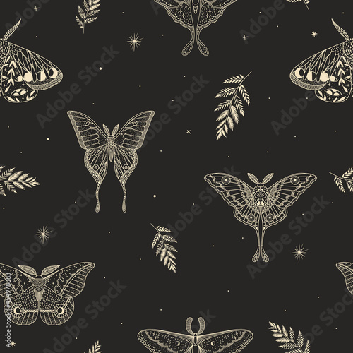 mystical illustration of a butterfly or moth. mysterious night in a secret garden. magic aesthetics, wildlife, retro vintage engraving style