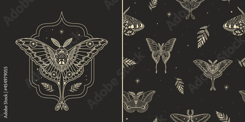 mystical illustration of a butterfly or moth. mysterious night in a secret garden. magic aesthetics, wildlife, retro vintage engraving style