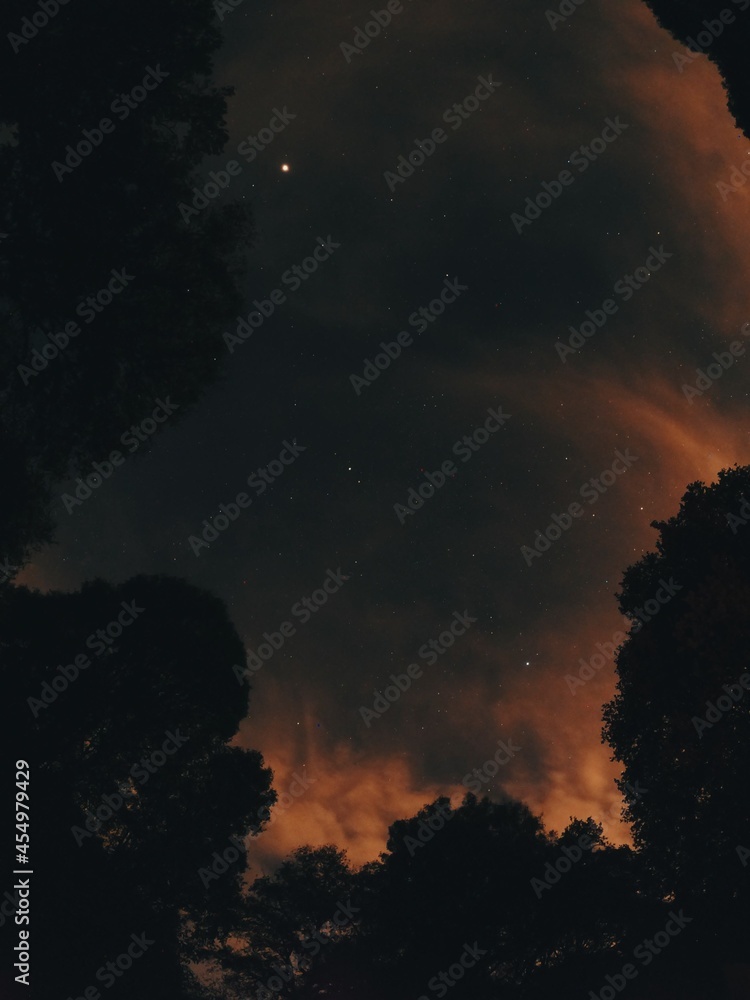 Naklejka premium Jupiter y saturno