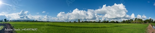 panorama blue sky and clouds over green rice fiedl background © Ritthichai