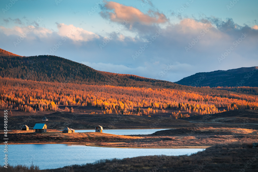 Lake with yellow autumn forest in Ulagan highlands in Altai, Siberia, Russia. Beautiful autumn landscape at sunset