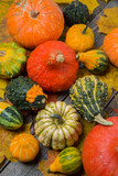 Decorative different pumpkins, harvest, autumn background, top view