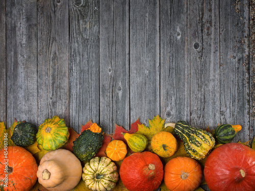 Different pumpkins on a wooden background, autumn theme, texture. Design ideas, top view photo