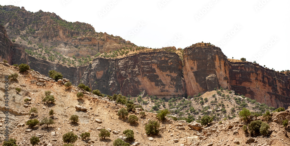 Rocky Mountains with oak trees isolated on white background, Rocky Mountain khuzestan province, Iran Rocky Mountains with oak trees isolated on white background, Rocky Mountain khuzestan province, Iran