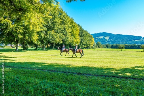 two persons riding horses aside alley Hellbrunner Allee