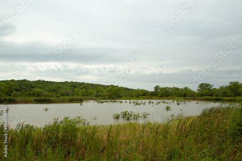 Tropical rainforest landscape. Panorama view of the beautiful green forest foliage  lake and reeds under a blue sky.