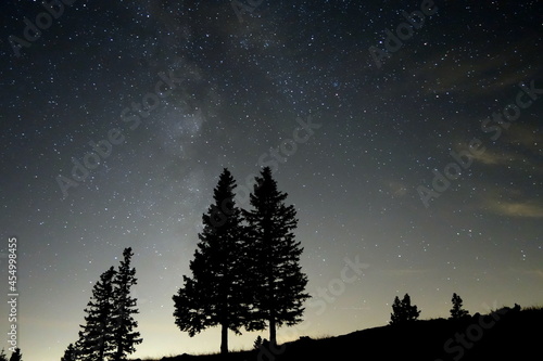 night galaxy milkyway trees