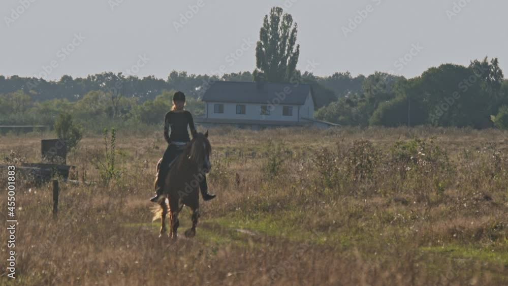 Young woman riding horse in field with wildflowers Young woman riding horse in field with wildflowers
