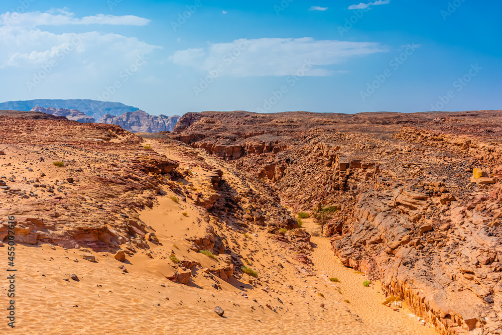 Colored Salam canyon in the Sinai Peninsula, beautiful curved limestone stones. Colored Salam canyon in the Sinai Peninsula, beautiful curved limestone stones.