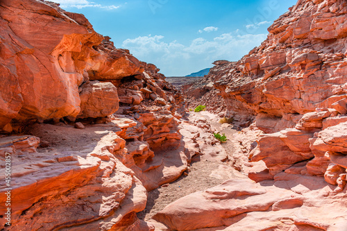 Colored Salam canyon in the Sinai Peninsula, beautiful curved limestone stones. © ArturSniezhyn