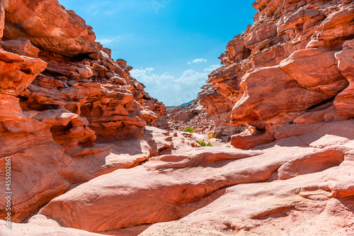 Colored Salam canyon in the Sinai Peninsula, beautiful curved limestone stones. © ArturSniezhyn