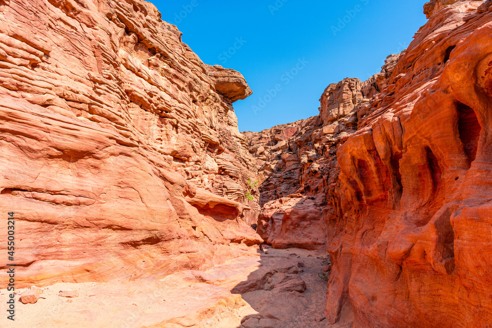 Fototapeta premium Colored Salam canyon in the Sinai Peninsula, beautiful curved limestone stones.