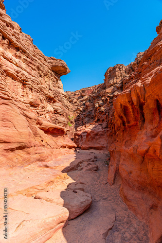 Fototapeta Naklejka Na Ścianę i Meble -  Colored Salam canyon in the Sinai Peninsula, beautiful curved limestone stones.