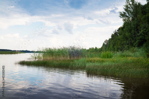 Lake or river shore with green grass and trees under blue cloudy sky