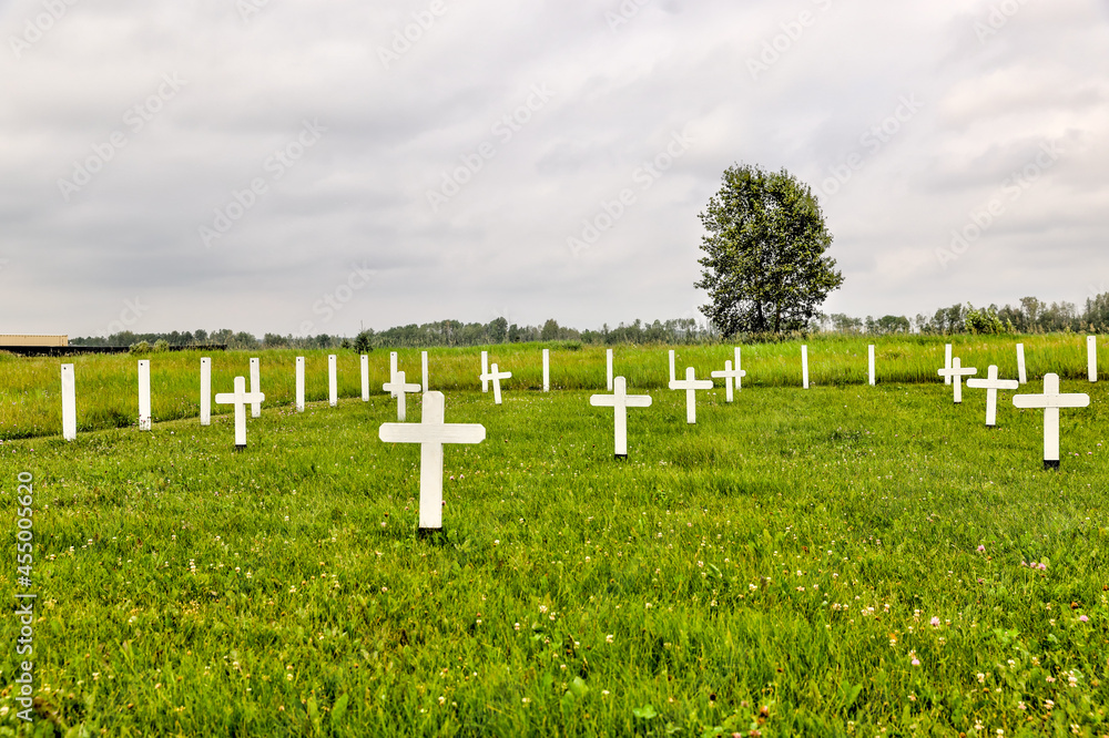 White crosses in a meadow in Alberta