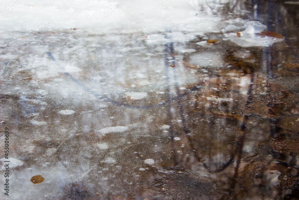 Obraz premium frozen water with tree leaves. puddle covered with ice. top view
